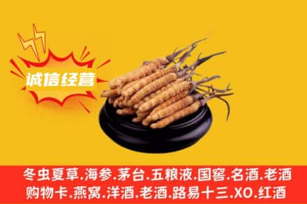 甘孜州九龙回收冬虫夏草